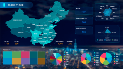 金融行業(yè)用戶數(shù)據(jù)BI可視化分析方案 驅(qū)動智能決策的大數(shù)據(jù)實(shí)踐